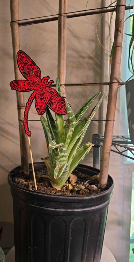 Acrylic Dragon Fly