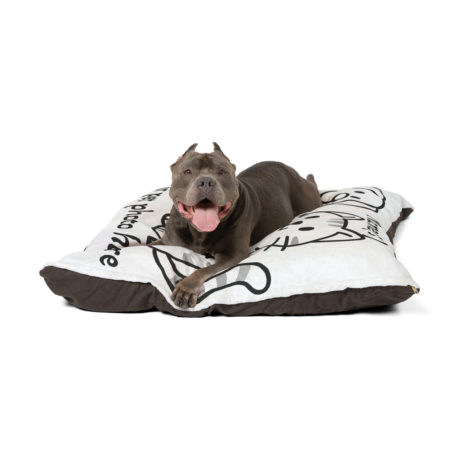 Personalized Pet Bed with Photo and Names - Image 3