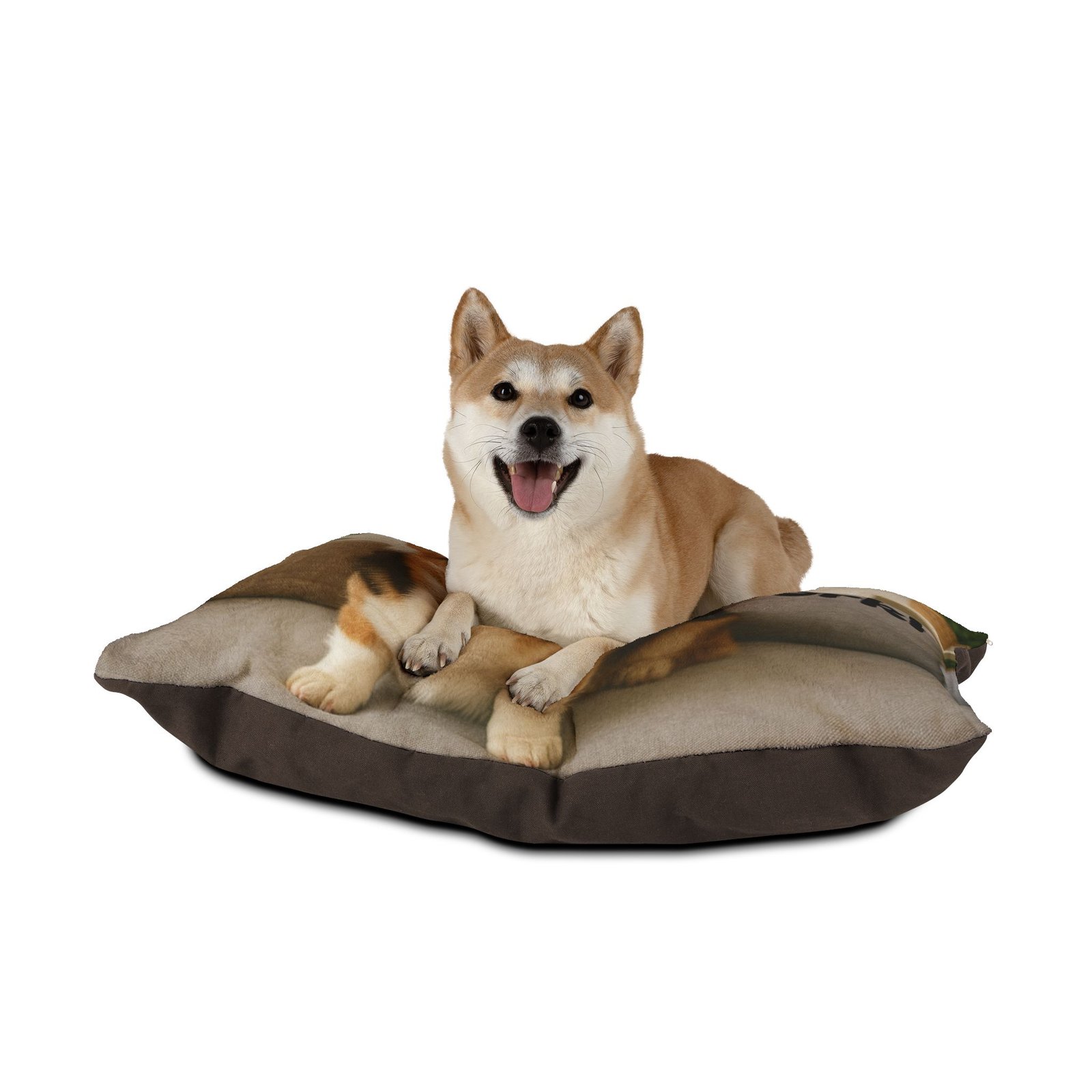 Personalized Cozy Pet Bed for Cats and Dogs - Image 3