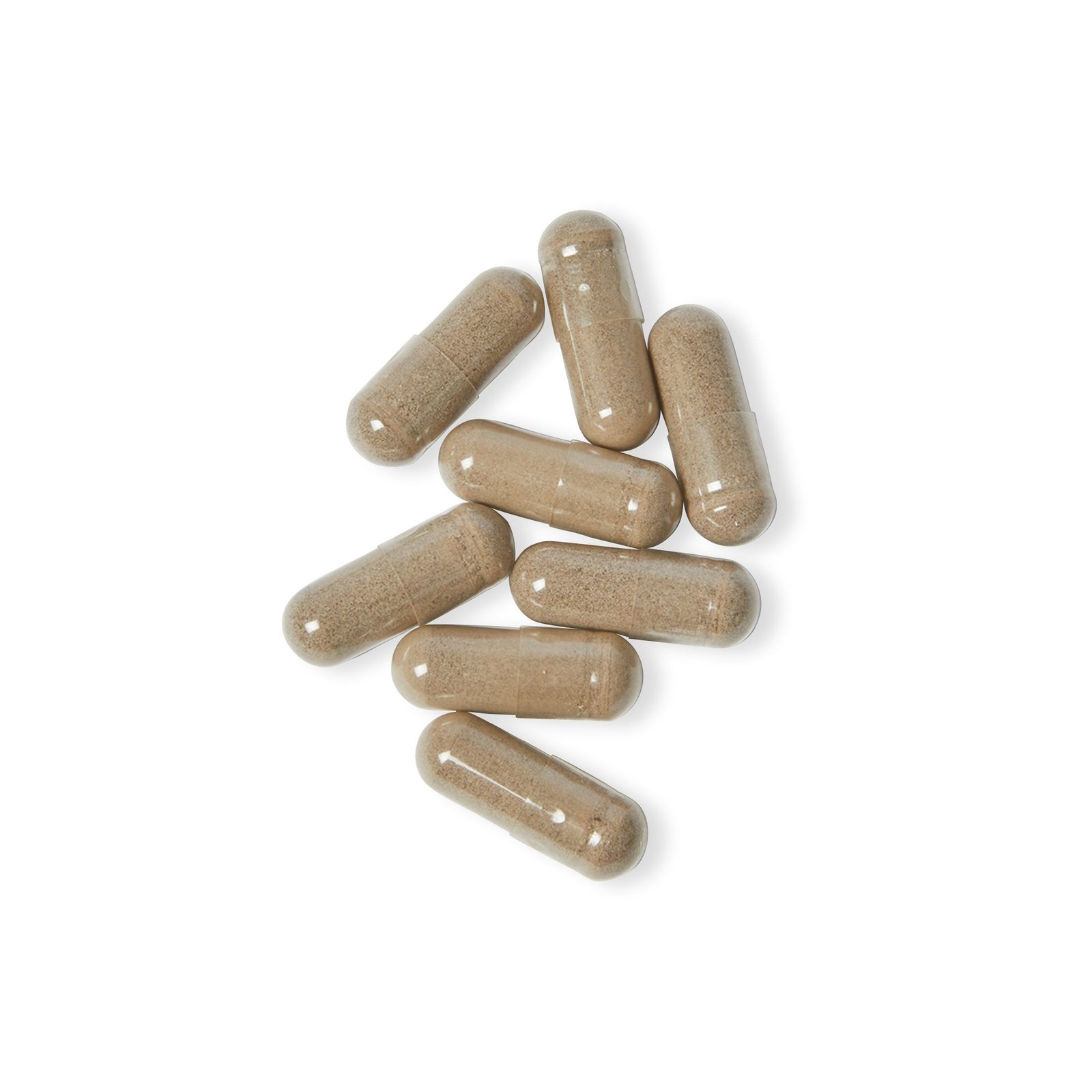 Sea Moss Supplement (60 Capsules) - Image 6